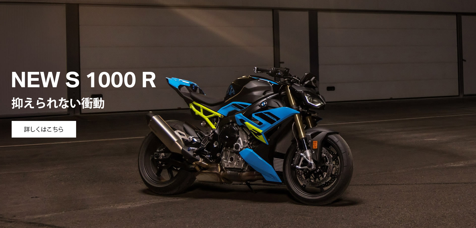 NEW S 1000 R